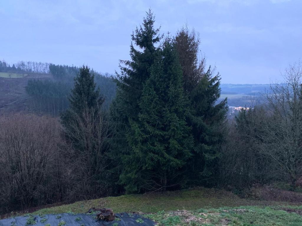 Terrasses De Malmedy Connecto Duplex 435 & 436 En Studio 336 Bagian luar foto
